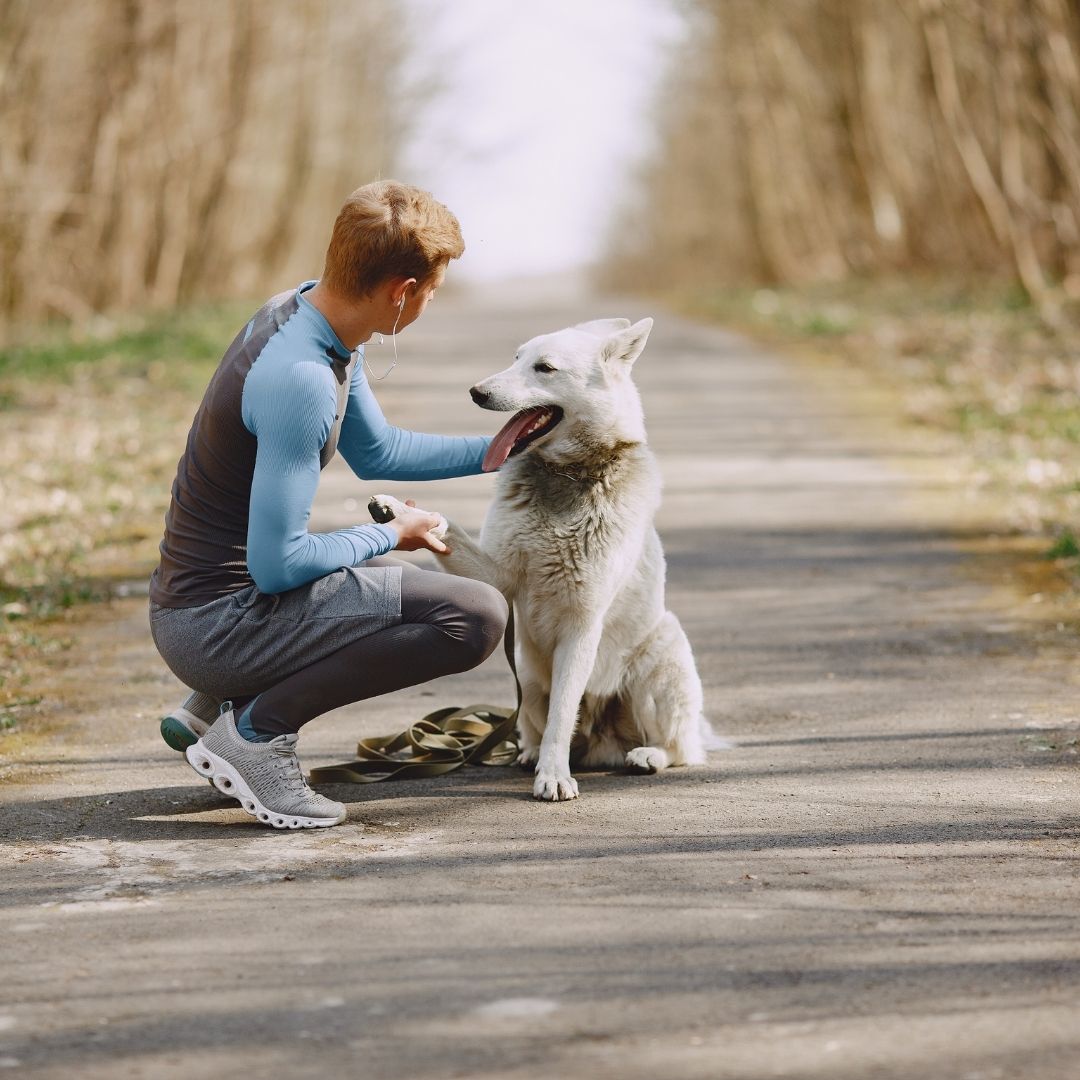 Evcil Hayvan Sahibi Olmanın Psikoloji Üzerindeki Etkileri